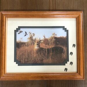 Deer Wall Art Print Picture in Wood Frame